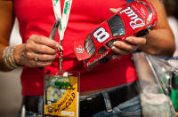 - ©2005-2006 All images Copyright Scott Robinson